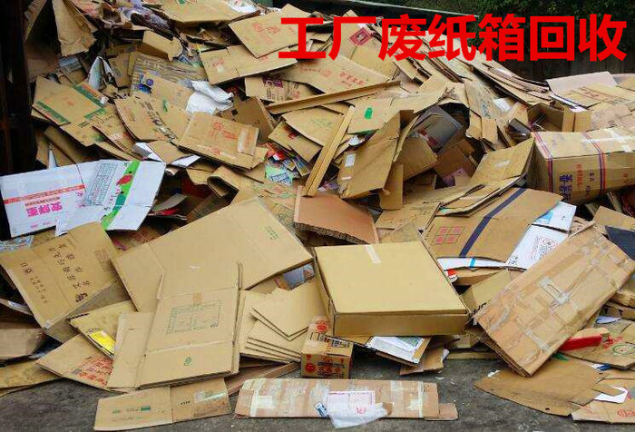 废纸回收 废纸回收